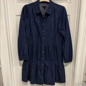 J. Crew Dark Wash Denim Button-Up Dress, Sz 10